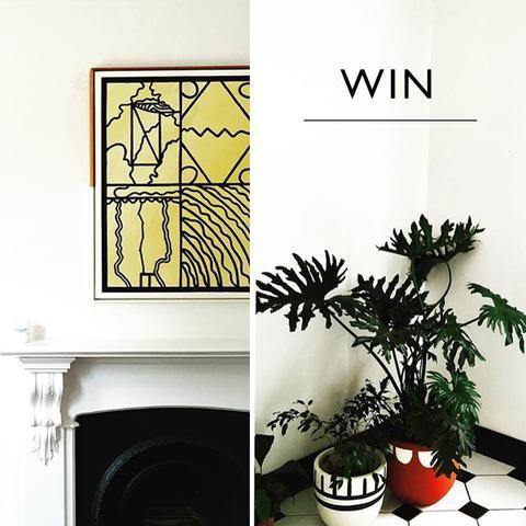 Win! - The Standard Store