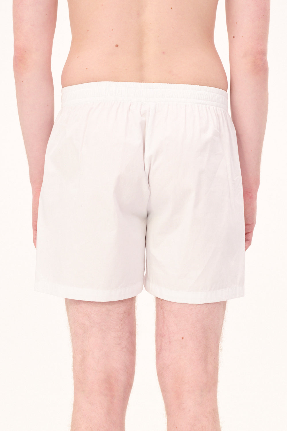 Below the Equator Underwear | Carne Bollente | The Standard Store