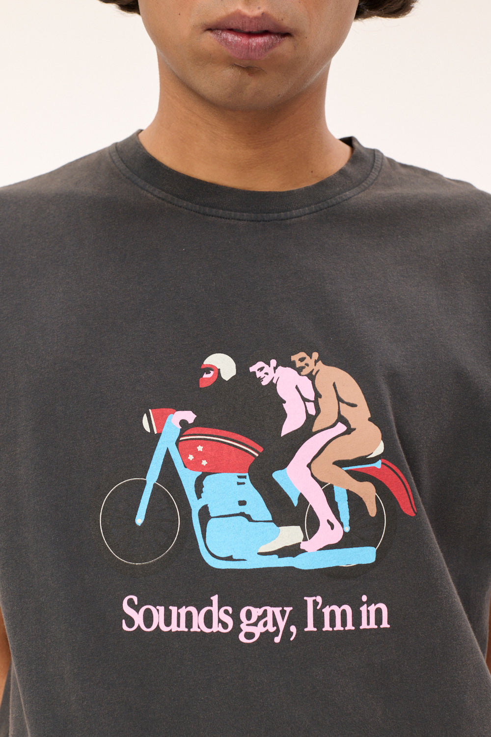 Sounds Gay, We're In T-shirt | Carne Bollente | The Standard Store