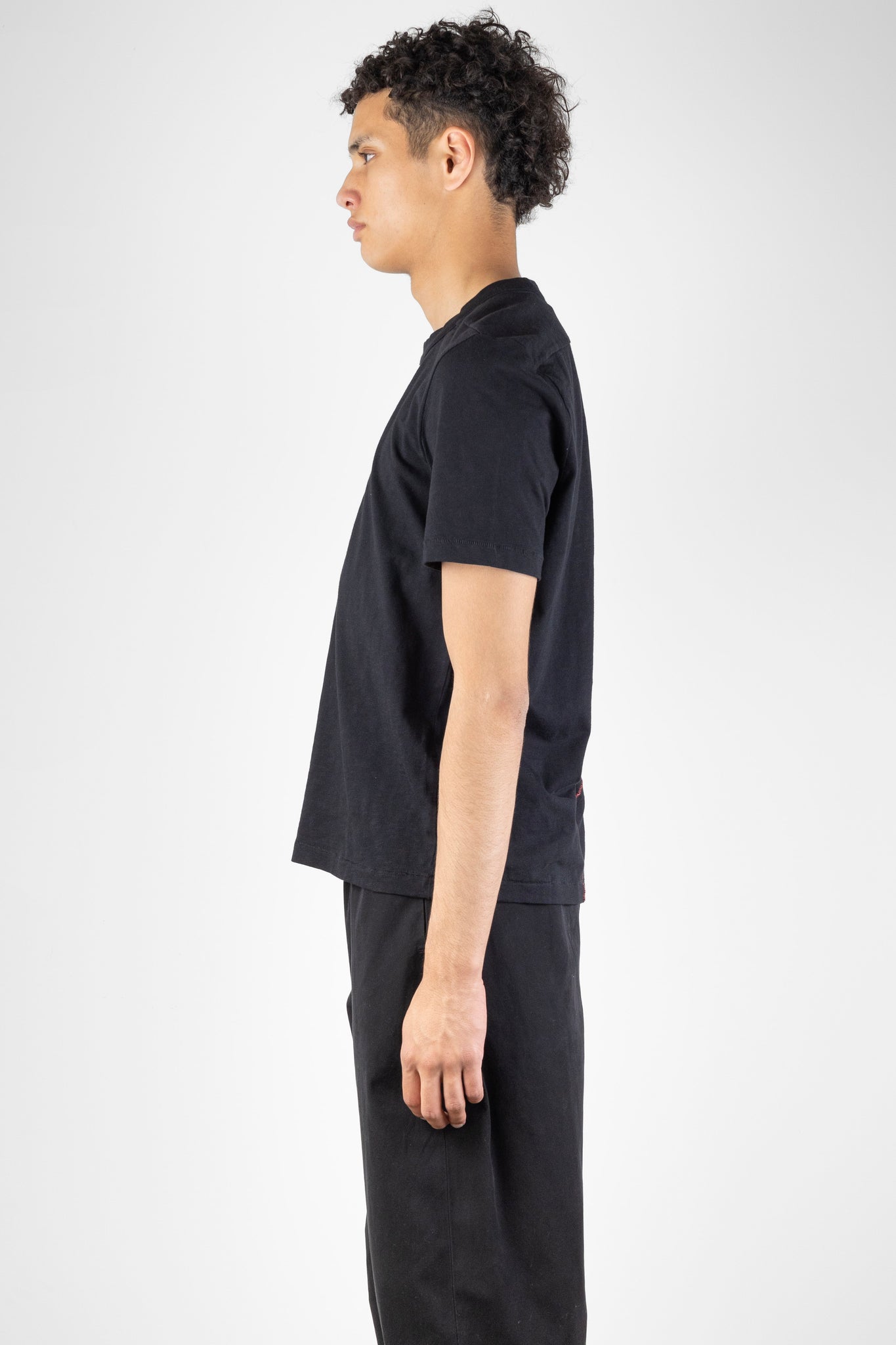 Rodger Bio Organic Cotton T Shirt, Black | Homecore | The Standard Store